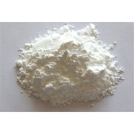 Bifidobacterium Animalis Lactis