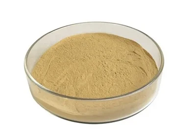 Bacillus Coagulans milteliai: deformacijos charakteristikos, funkcinė nauda i...